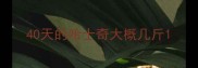 40天的哈士奇大概几斤