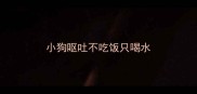 小狗呕吐不吃饭只喝水