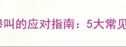 泰迪犬突然发出异常惨叫的应对指南5大常见诱因与科学解决策略