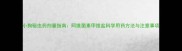 小狗驱虫药剂量指南阿维菌素甲维盐科学用药方法与注意事项