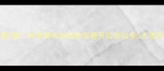 3顿还是2顿科学喂养指南助你避开拉布拉多5大喂养误区