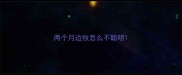 两个月边牧怎么不聪明