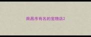 南昌市有名的宠物店