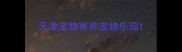 天津宠物寄养宠物乐园