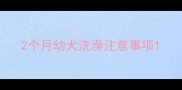 2个月幼犬洗澡注意事项
