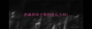 赤峰养哈士奇的这么少吗