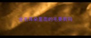金毛耳朵里面的毛要剪吗