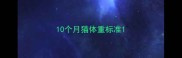 10个月猫体重标准