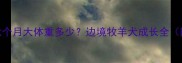 边境牧羊犬七个月大体重多少边境牧羊犬成长全附饲养技巧