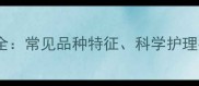 泰迪犬皮肤颜色全常见品种特征科学护理指南与疾病预防
