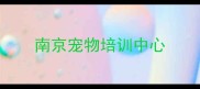 南京宠物培训中心