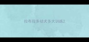 拉布拉多幼犬多大训练