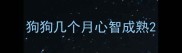 狗狗几个月心智成熟