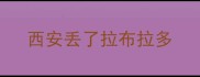 西安丢了拉布拉多