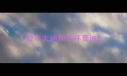 微小太迪和茶杯泰迪