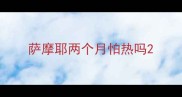 萨摩耶两个月怕热吗