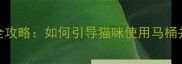 猫咪如厕训练全攻略如何引导猫咪使用马桶并保持家居清洁