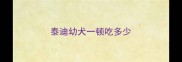 泰迪幼犬一顿吃多少