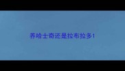 养哈士奇还是拉布拉多