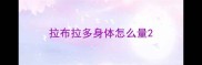 拉布拉多身体怎么量