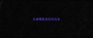 长春哪里卖拉布拉多