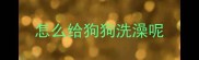 怎么给狗狗洗澡呢