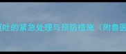 两个月泰迪犬频繁呕吐的紧急处理与预防措施附兽医建议与护理指南
