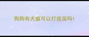 狗狗有犬瘟可以打疫苗吗