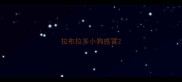 拉布拉多小狗感冒