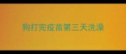 狗打完疫苗第三天洗澡