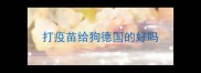打疫苗给狗德国的好吗