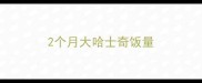 2个月大哈士奇饭量