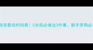 小狗绝育最佳时间表5岁前必做这3件事新手养狗必看