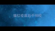 猫打疫苗后不怕咬