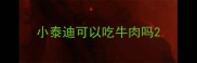 小泰迪可以吃牛肉吗