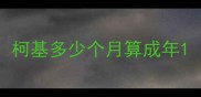柯基多少个月算成年