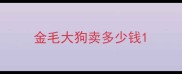 金毛大狗卖多少钱