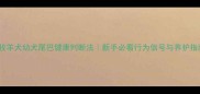 边境牧羊犬幼犬尾巴健康判断法新手必看行为信号与养护指南
