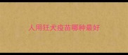 人用狂犬疫苗哪种最好