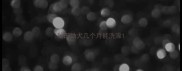 秋田幼犬几个月能洗澡