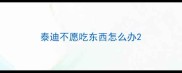泰迪不愿吃东西怎么办