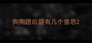 狗狗蹬后腿有几个意思