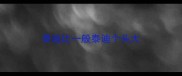 泰迪比一般泰迪个头大