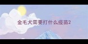 金毛犬需要打什么疫苗
