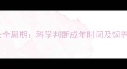 可卡犬成长全周期科学判断成年时间及饲养关键指南