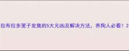 拉布拉多笼子发臭的5大元凶及解决方法养狗人必看