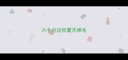 六个月边牧夏天掉毛