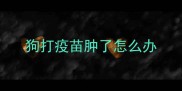 狗打疫苗肿了怎么办
