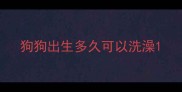 狗狗出生多久可以洗澡