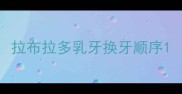 拉布拉多乳牙换牙顺序